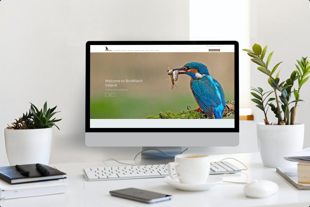 Birdwatch Thumbnail